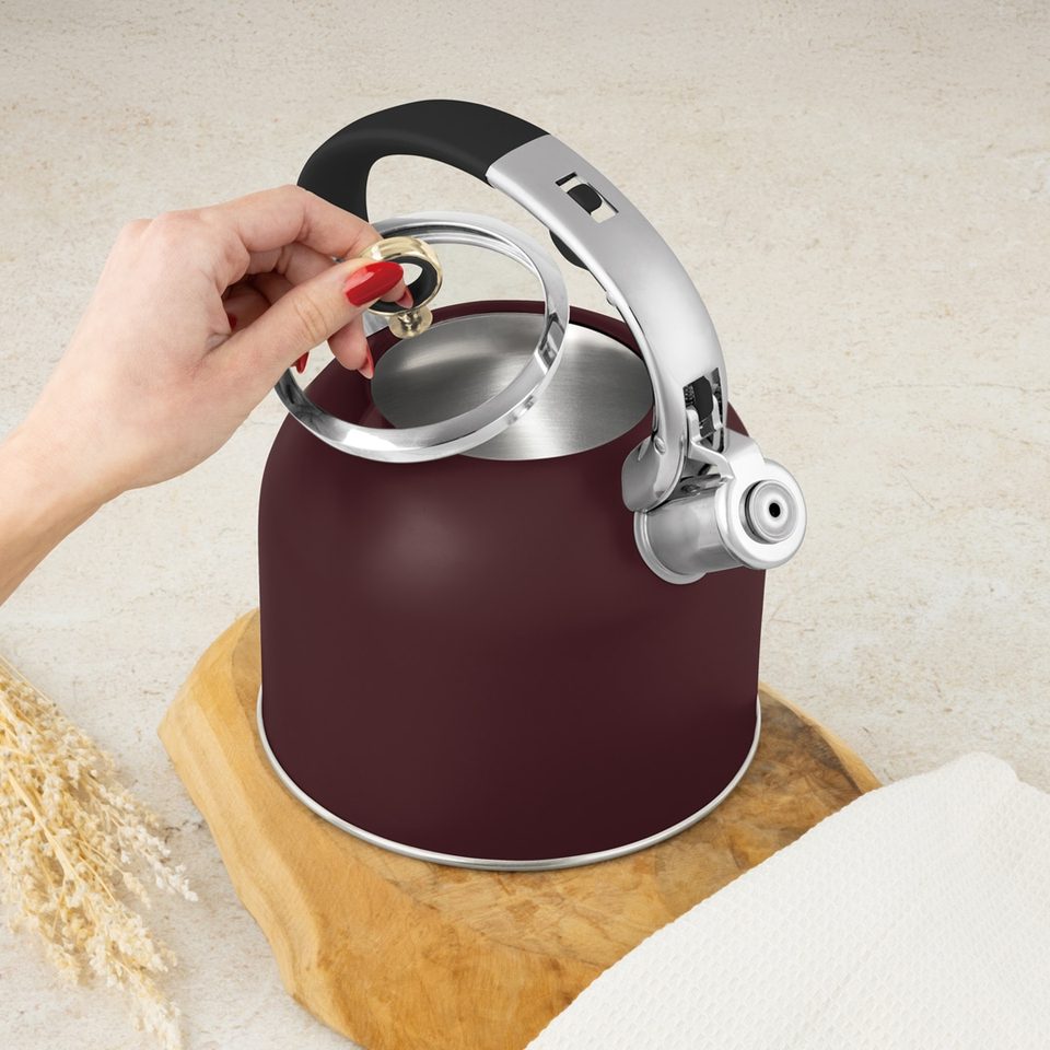 Kettle with Glass Lid | 3.0L Berlinger Haus BH8919