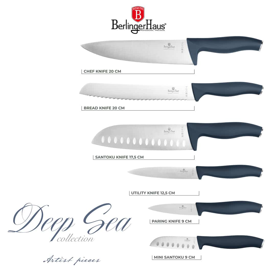 Knife Set in Gift Box | Berlinger Haus BH3141
