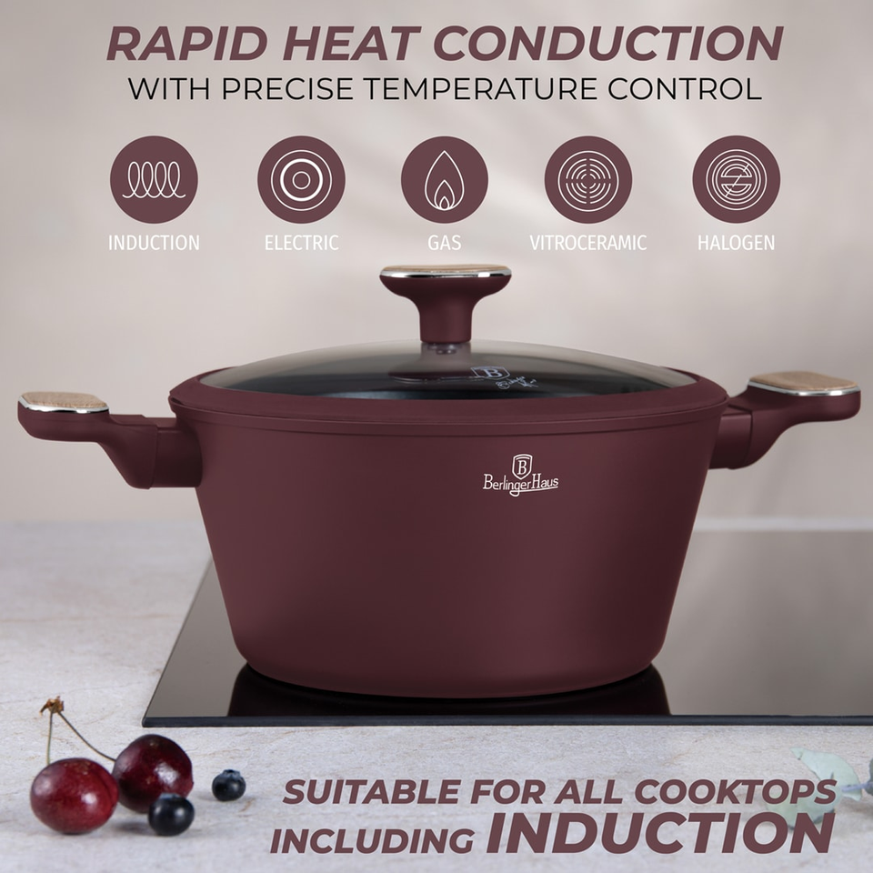 Casserole Berlinger Haus BH8301 – Leonardo Nordic 24 cm