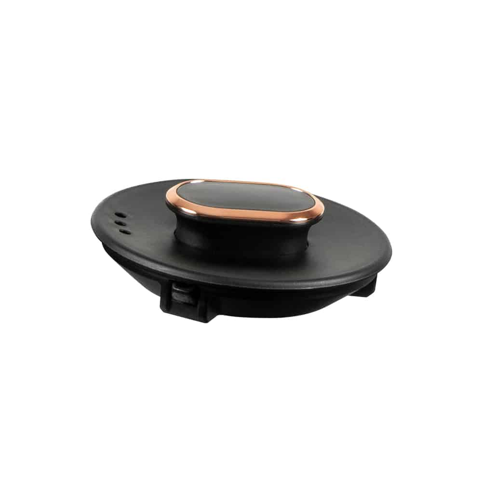 Electric kettle Berlinger Haus BH9478 Black Rose
