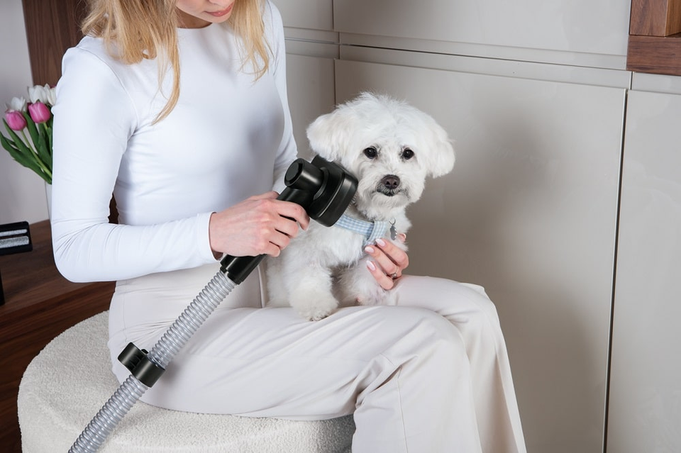 Berlinger Haus 9582 Pet Grooming Vacuum Cleaner