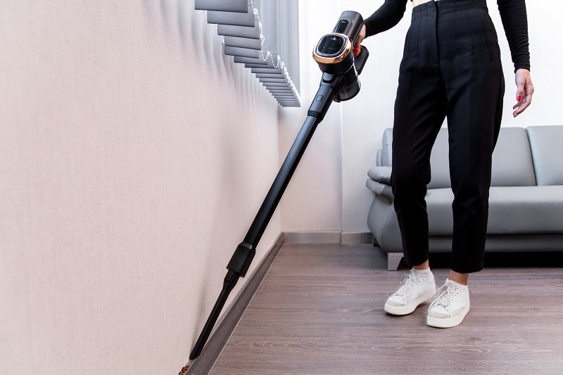 Vacuum cleaner with BLDC motor Berlinger Haus BH 9341 Black Rose